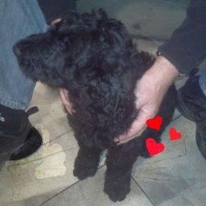 Meet your Posher, Debra